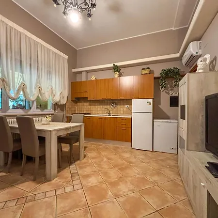 Ficus Pt -